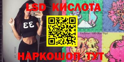 a pvp Краснознаменск