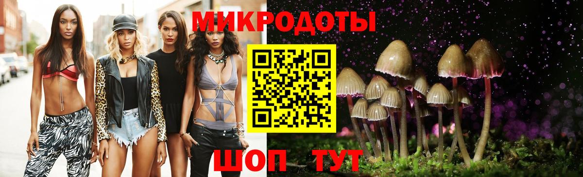 Псилоцибиновые грибы Psilocybine cubensis Екатеринбург