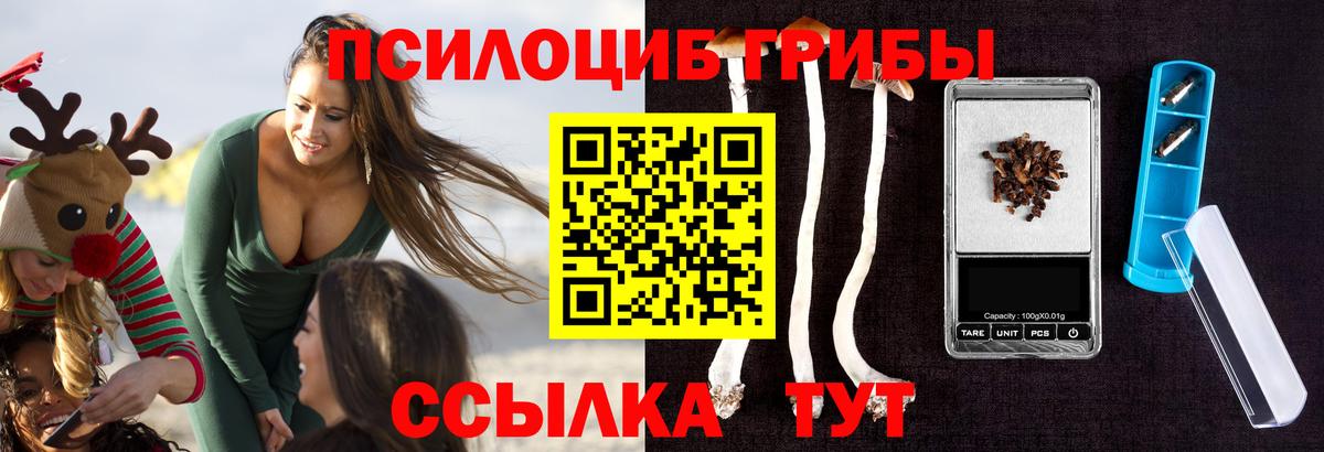 Екатеринбург  Псилоцибиновые грибы GOLDEN TEACHER  Псилоцибиновые грибы ЛСД  Вход с VPN 